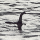 Either the definitive photo of the Loch Ness Monster, or some dude’s arm sticking up out of the water, from April of 1934. (Photo: Credit disputed)